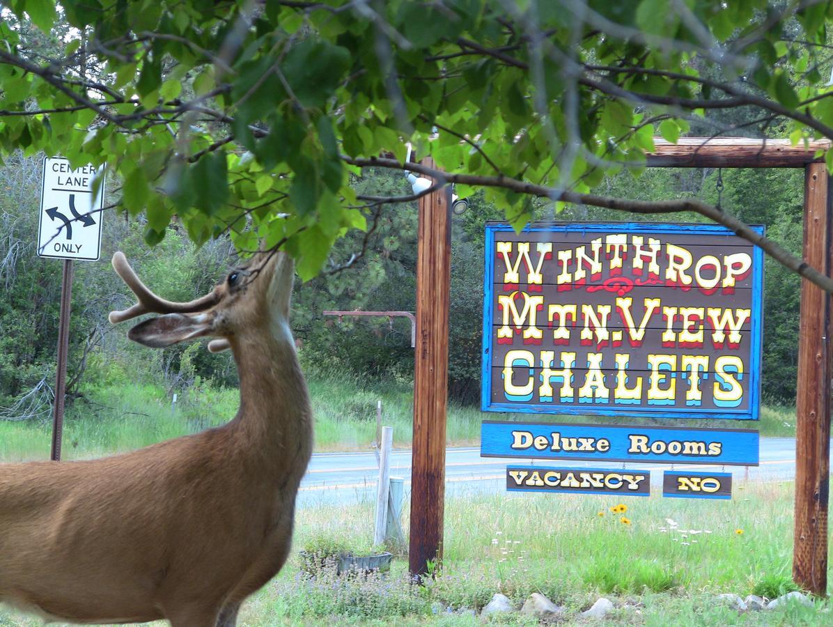Winthrop Mountain View Chalets Εξωτερικό φωτογραφία